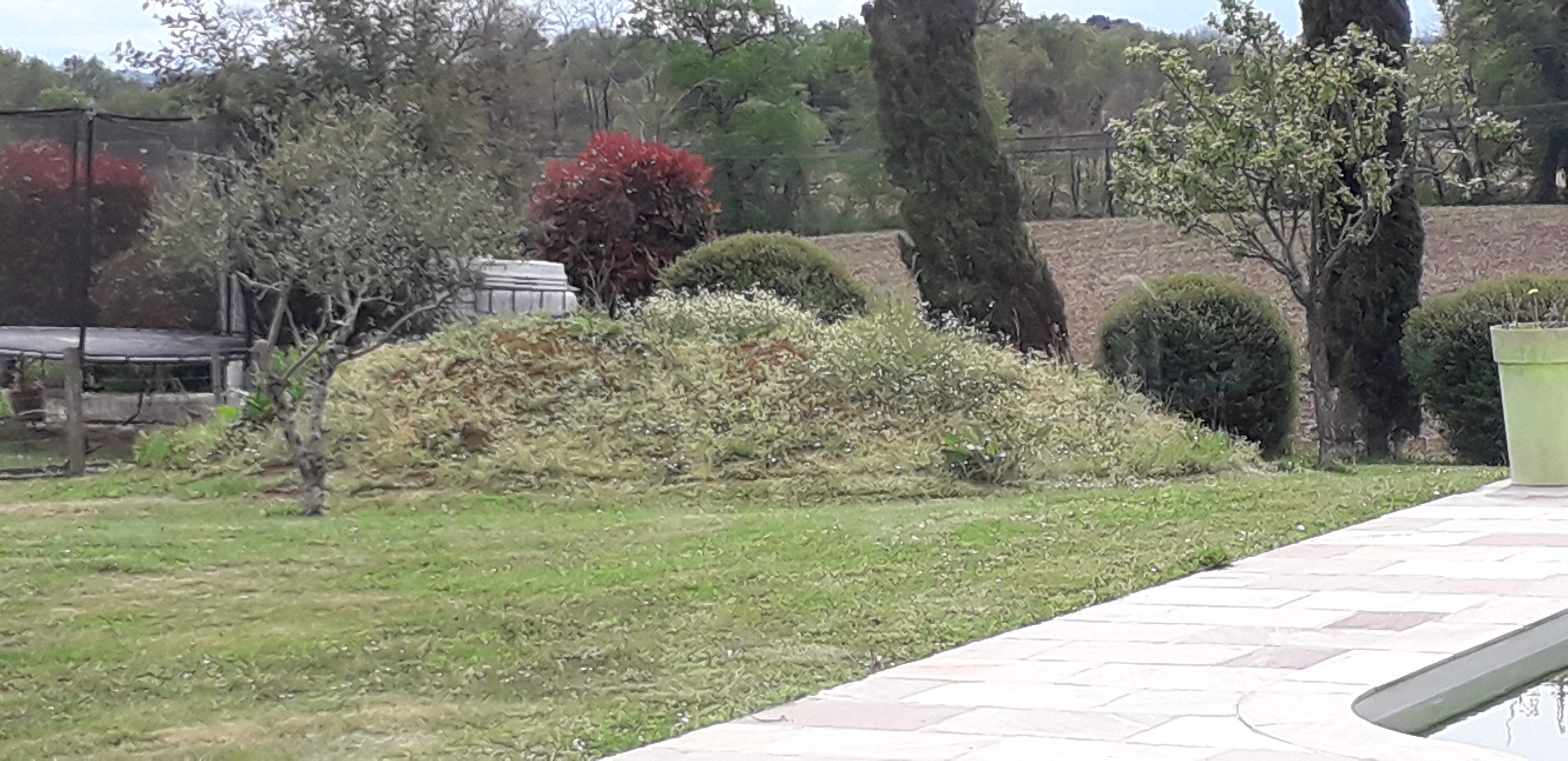 Location minipelle 40 entre particuliers