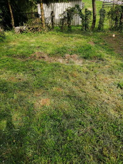Service entretien jardin 61 entre particuliers