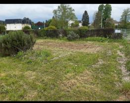 Service : entretien jardin Service : entretien jardin