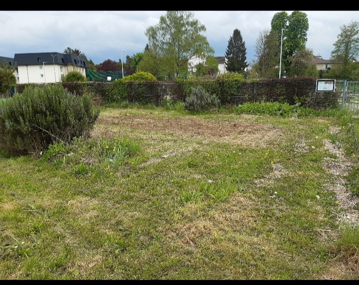 Service entretien jardin 95 entre particuliers