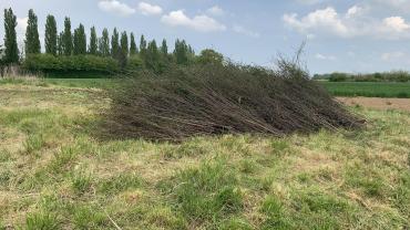 Service : debroussaillage Service : debroussaillage