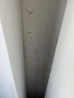 Service : peintre Service : peintre