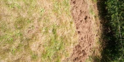 Service : amenagement jardin Service : amenagement jardin