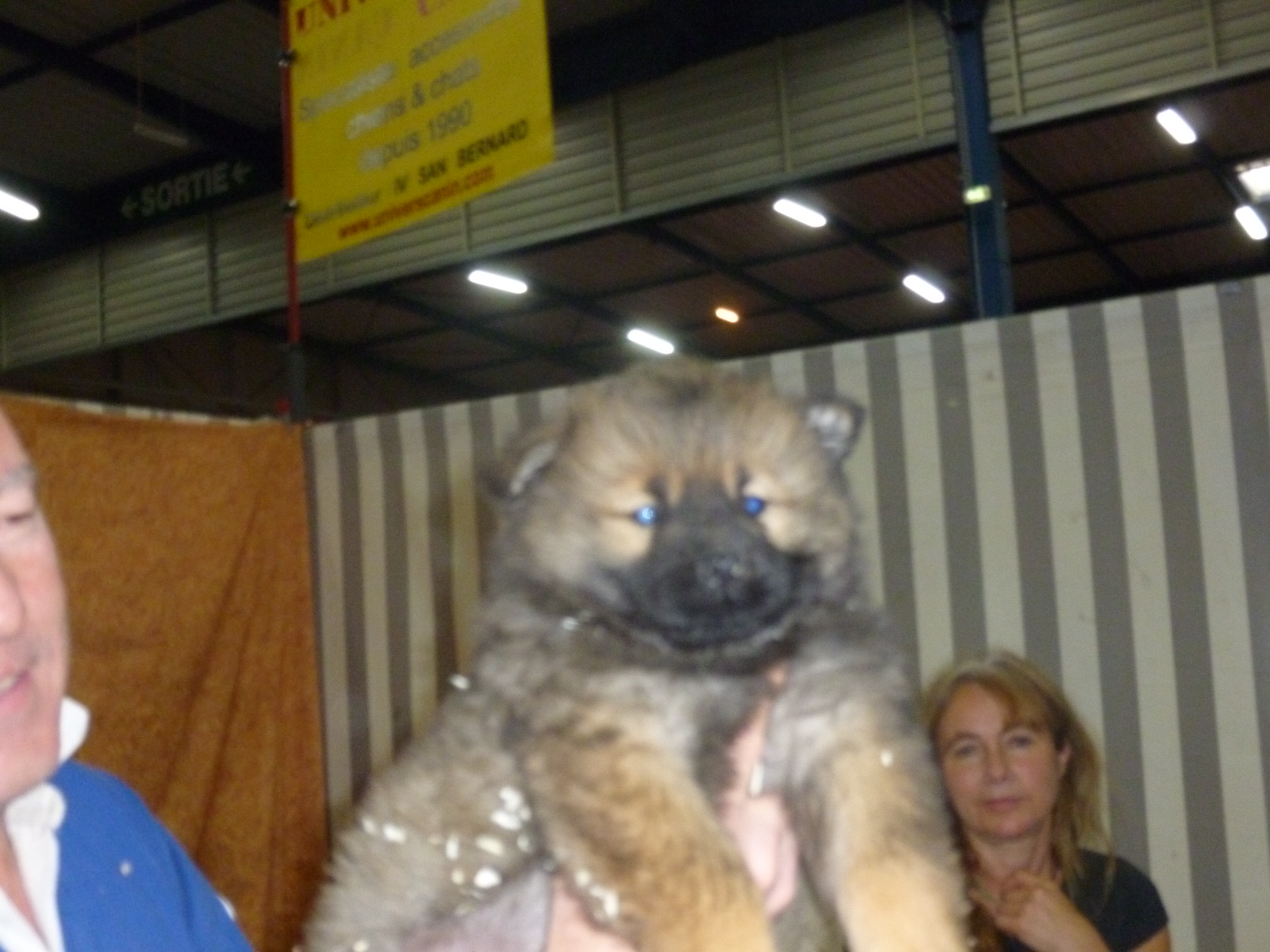 Service garde animaux 66 entre particuliers