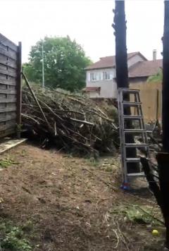 Service : entretien jardin Service : entretien jardin