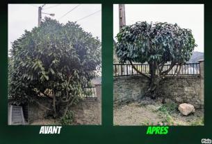 Service : entretien espace vert Service : entretien espace vert