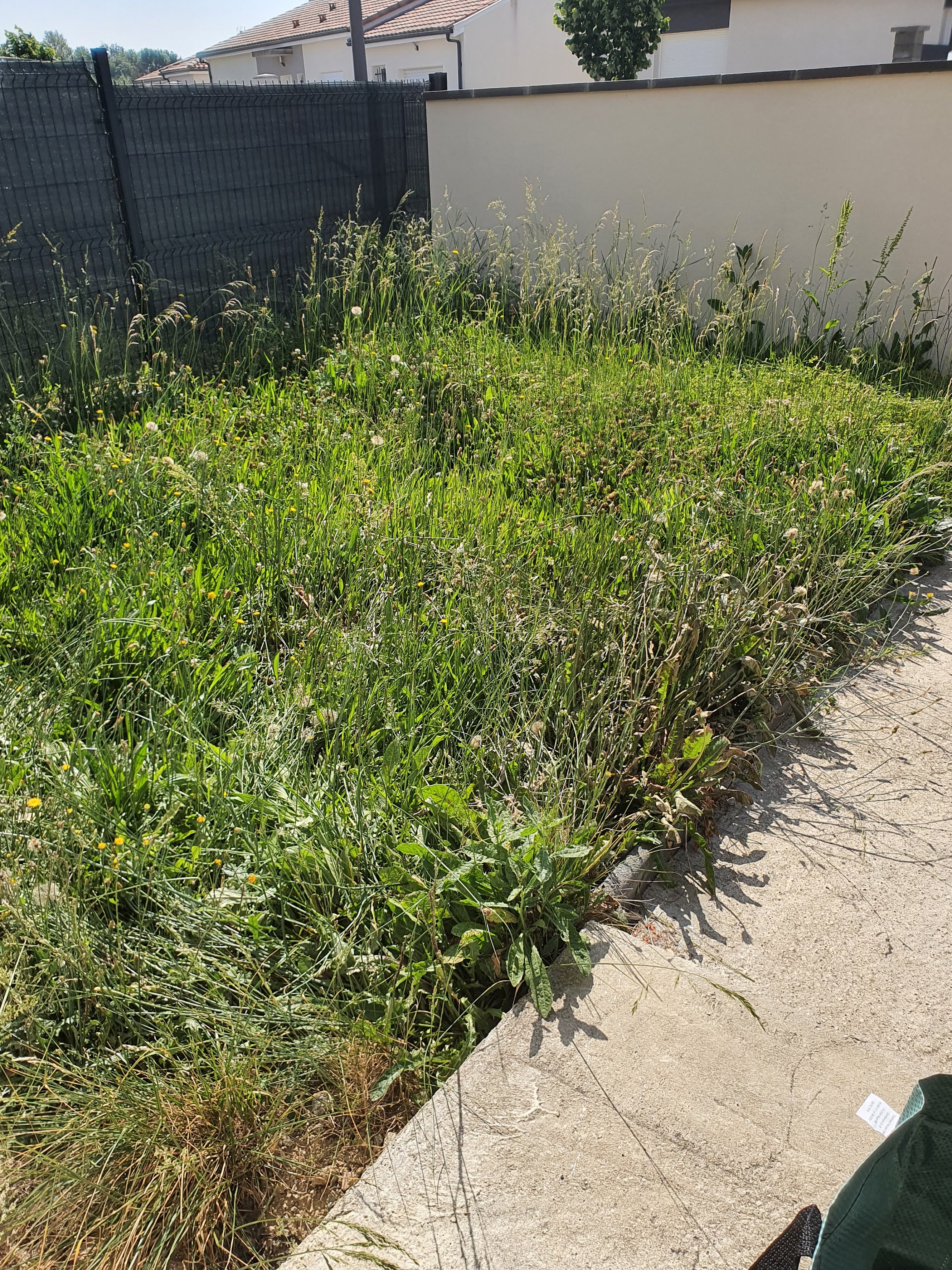 Service entretien jardin 81 entre particuliers