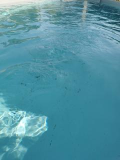 Location : robot piscine Location : robot piscine