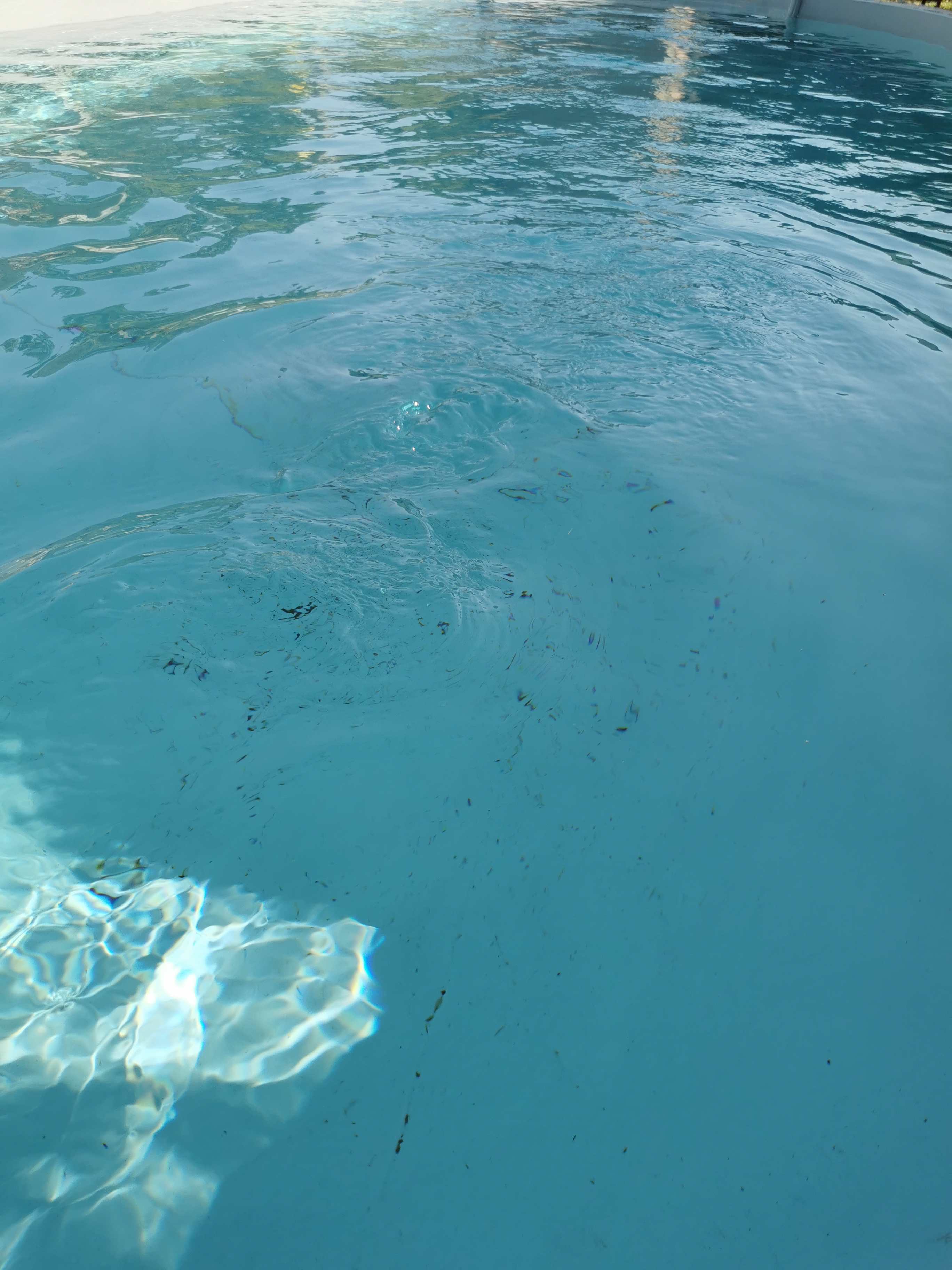 Location robot piscine 66 entre particuliers