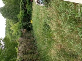 Location : debroussailleuse Location : debroussailleuse