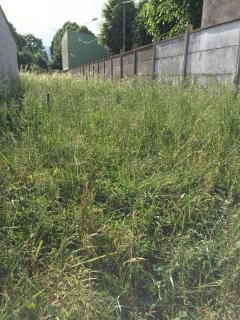 Service : tonte de pelouse Service : tonte de pelouse