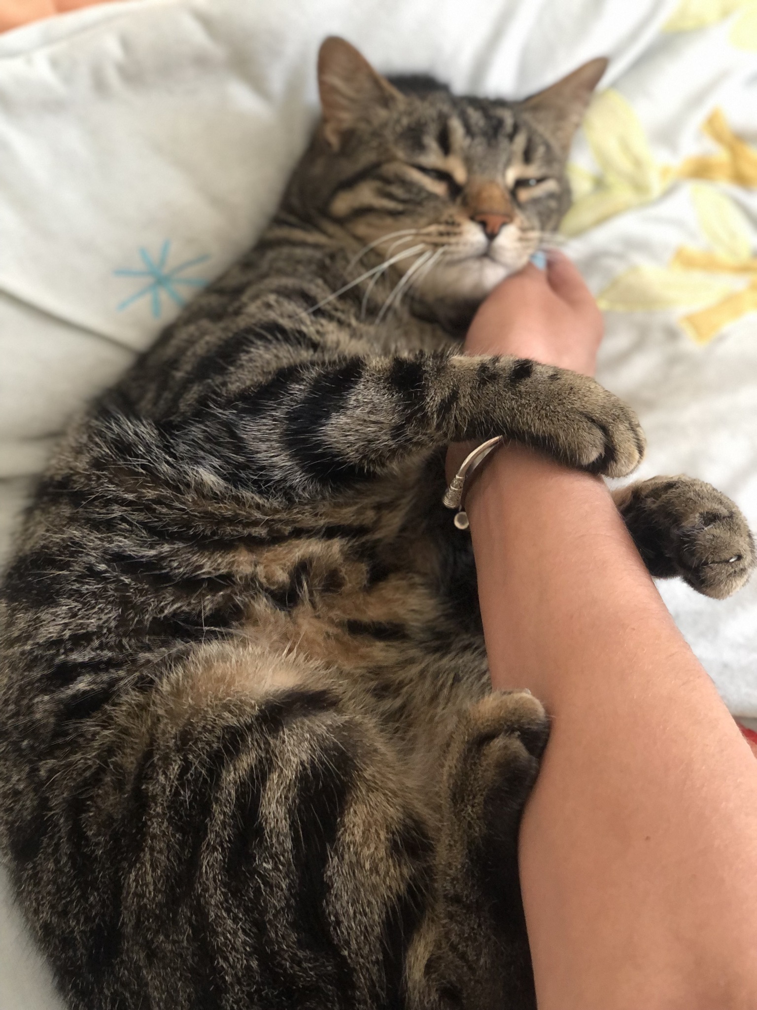 Service chat 83 entre particuliers