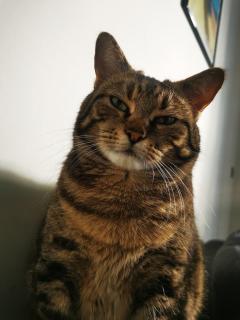 Service : chat Service : chat