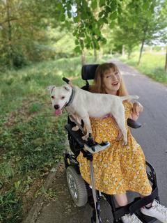 Service : chien Service : chien