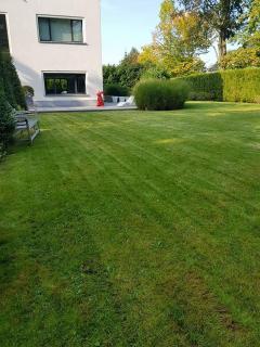 Service : tonte de pelouse Service : tonte de pelouse