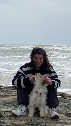 Service : garde animaux Service : garde animaux