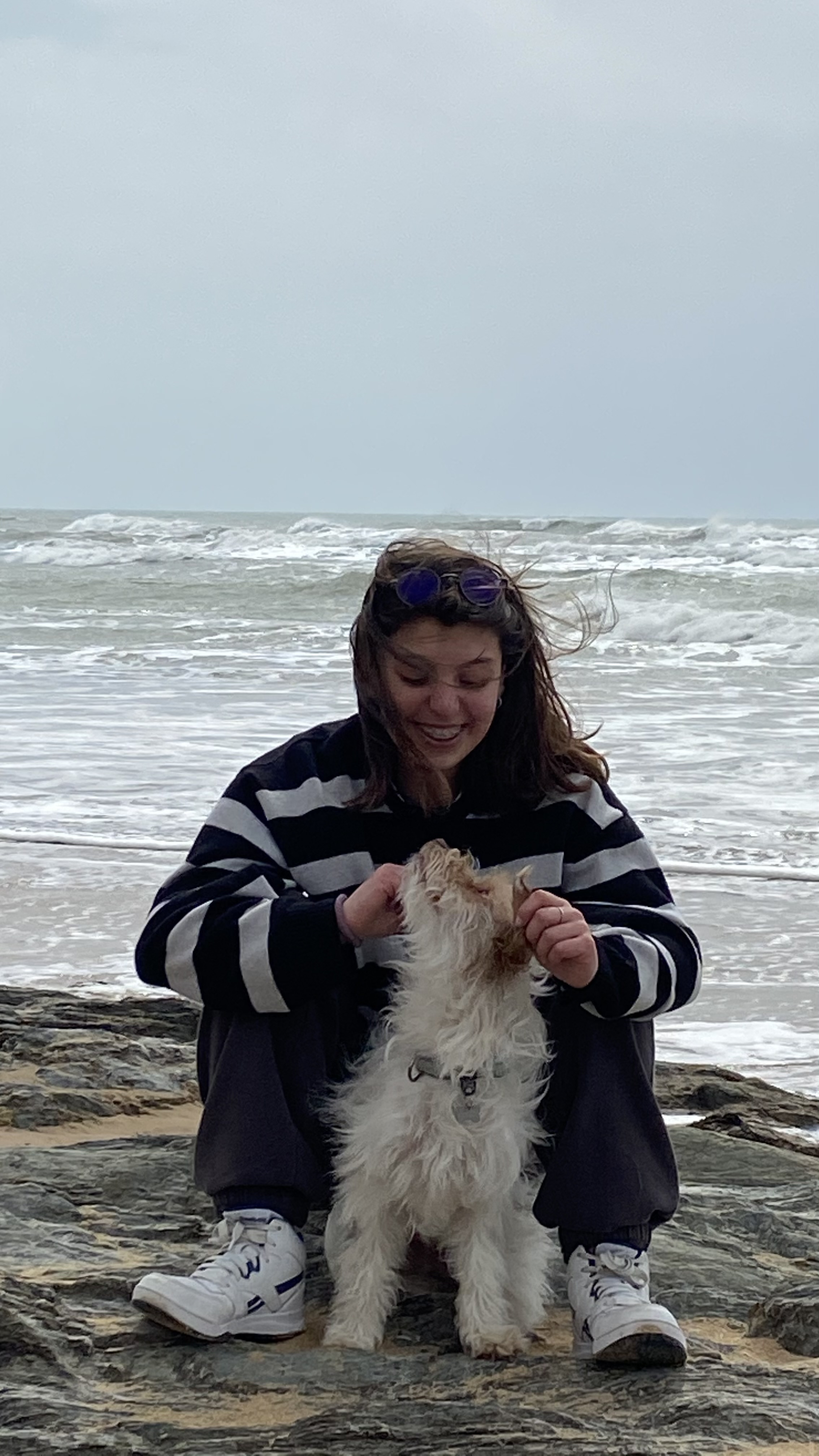 Service garde animaux 62 entre particuliers