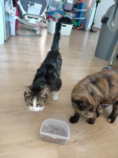 Service : chat Service : chat