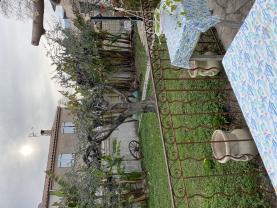 Service : debroussaillage Service : debroussaillage