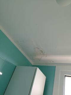 Service : peintre Service : peintre