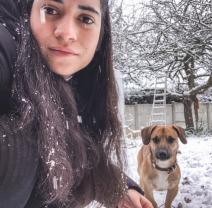 Service : garde animaux Service : garde animaux