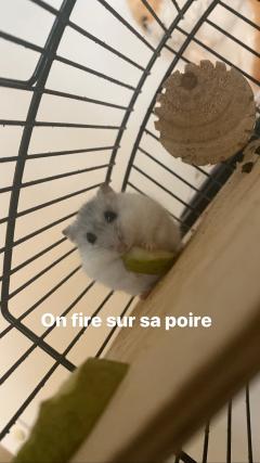 Proposer mes services