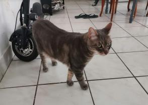 Service : chat Service : chat