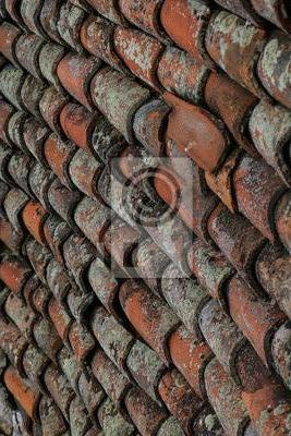 Service photographie 73 entre particuliers