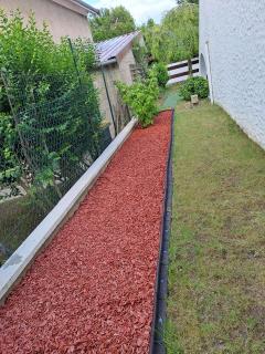 Service : taille de haies Service : taille de haies