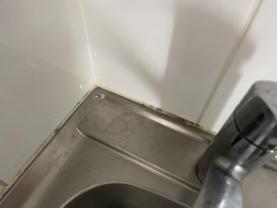 Service : multi services Service : multi services