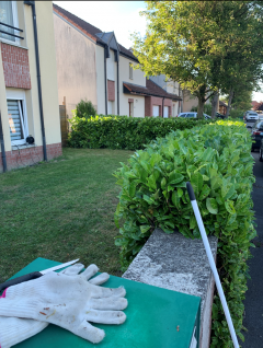 Service : entretien espace vert Service : entretien espace vert