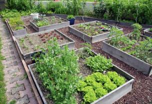 Louer mon jardin