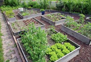 Location jardin potager entre particuliers