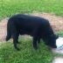 Service : chat Service : chat