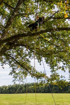 Location : escalade Location : escalade