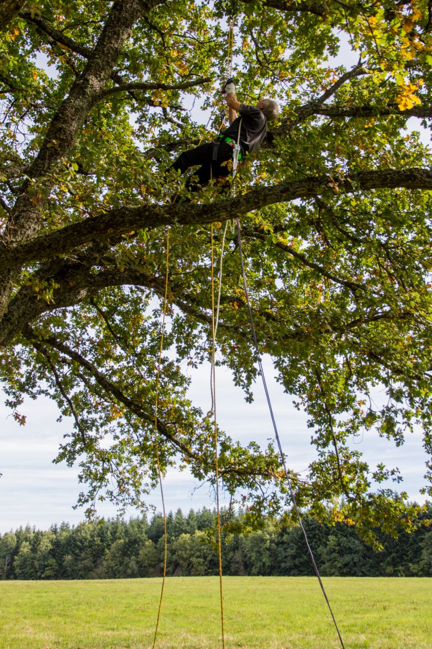 Location escalade 63 entre particuliers