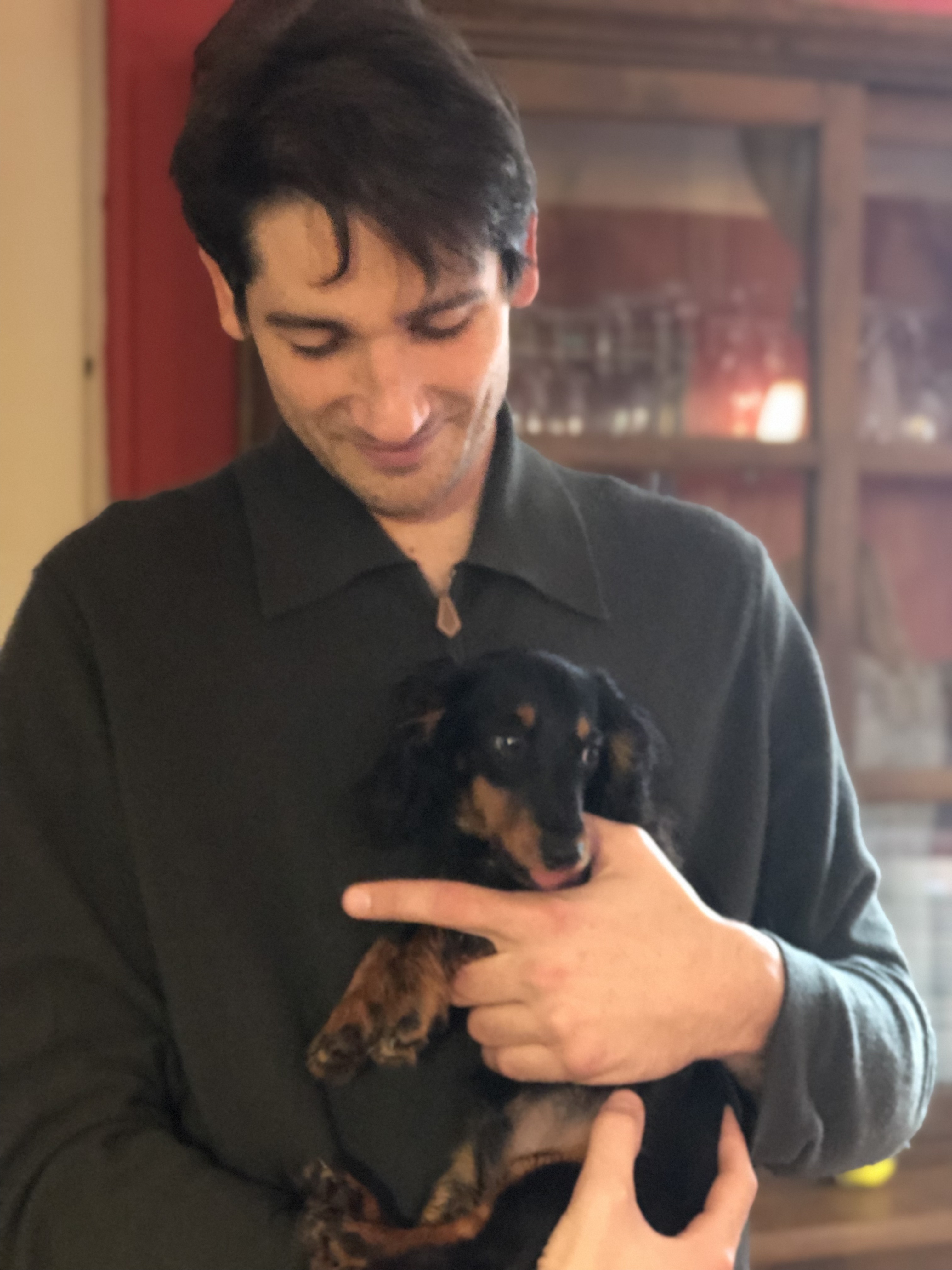 Service chien 14 entre particuliers