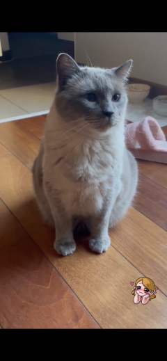 Service : chat Service : chat