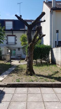 Louer ma tronçonneuse