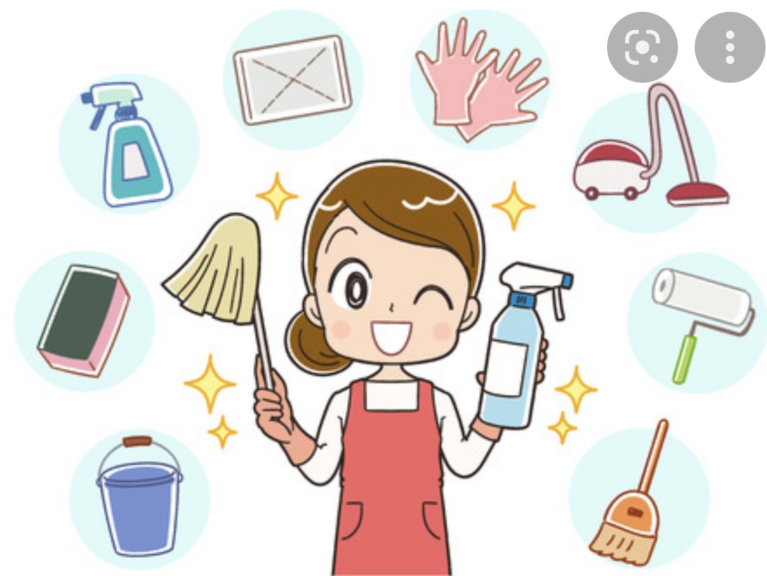 Service aide menagere 38 entre particuliers