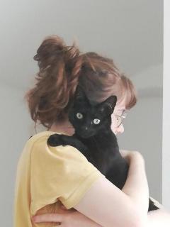 Demander ce catsitter