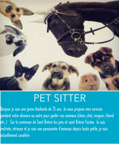 Service chien entre particuliers