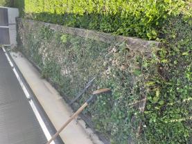 Service : amenagement jardin Service : amenagement jardin