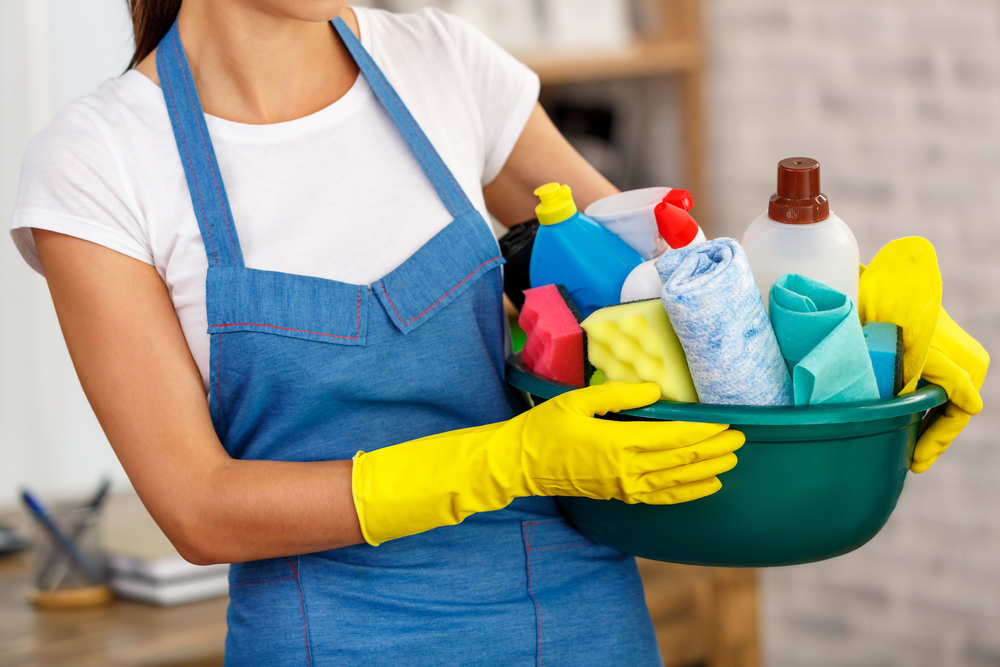 Service aide menagere 97 entre particuliers