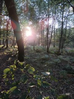 Location : chambre meublee Location : chambre meublee