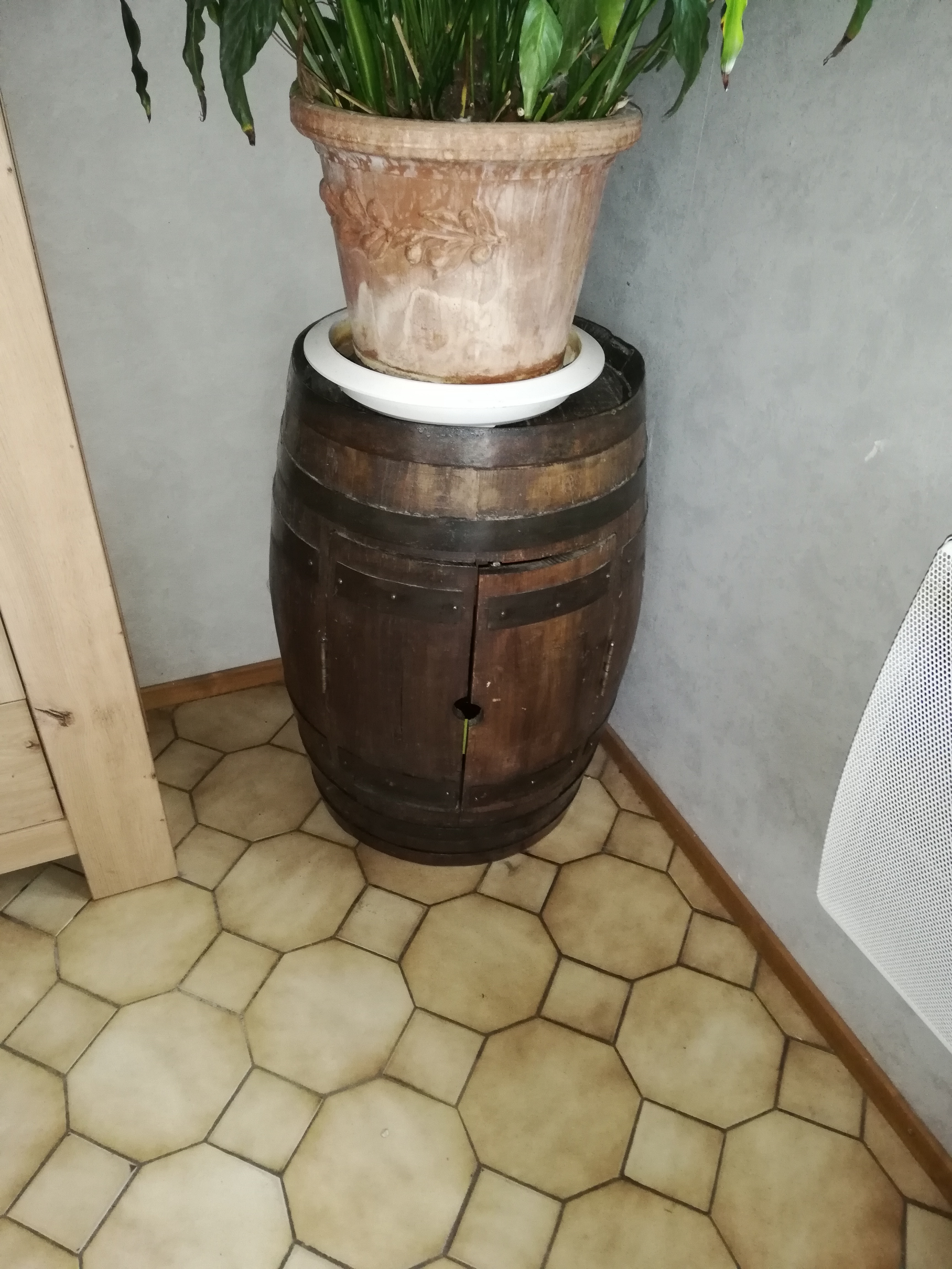 Location sableuse 62 entre particuliers