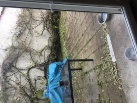 Service : entretien jardin Service : entretien jardin