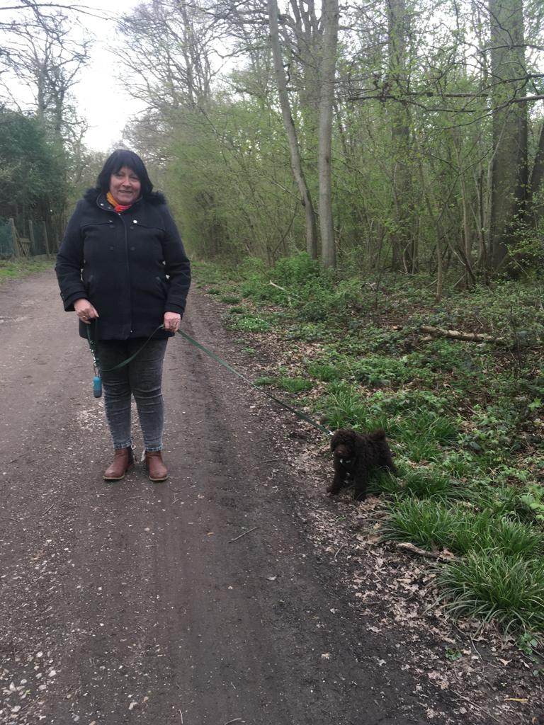 Service garde animaux 77 entre particuliers