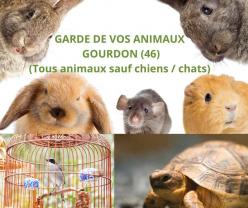 Service garde animaux entre particuliers