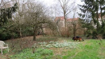 Service : entretien jardin Service : entretien jardin